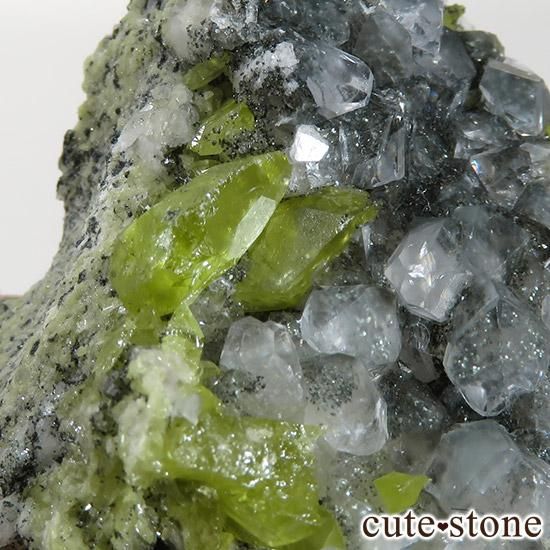 ѥ ɥ եդ 33gμ̿2 cute stone