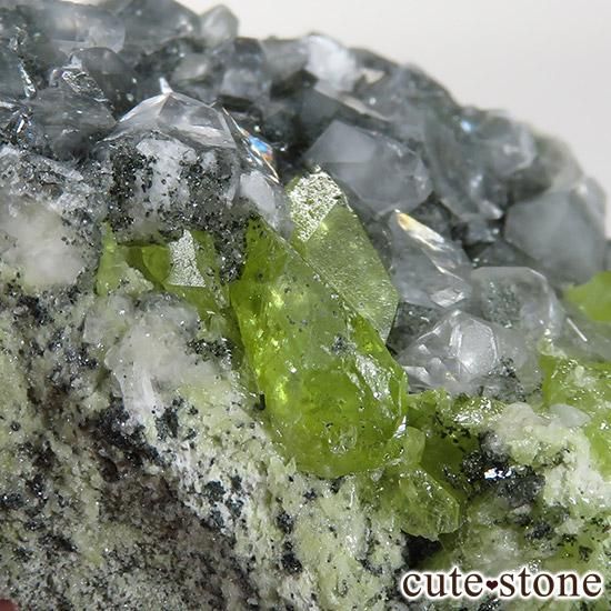 ѥ ɥ եդ 33gμ̿3 cute stone