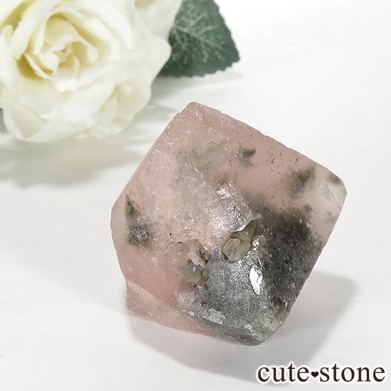 ԥ󥯥ե饤(󥴥뻺)Ȭη뾽ʸС 70gμ̿1 cute stone