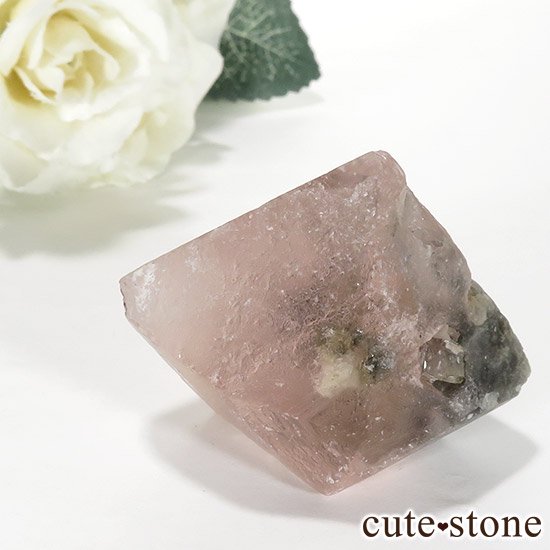 ԥ󥯥ե饤(󥴥뻺)Ȭη뾽ʸС 70gμ̿2 cute stone