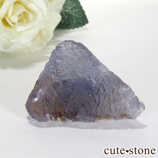ޥ顼ե饤 (󥴥뻺)Ȭη뾽ʸС60.8gμ̿0 cute stone