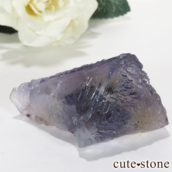 ޥ顼ե饤 (󥴥뻺)Ȭη뾽ʸС60.8gμ̿1 cute stone