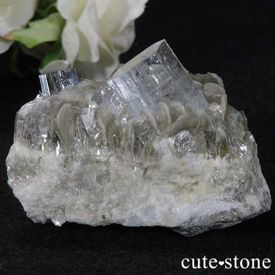 ѥ󻺥ޥ դ뾽ʸС78gμ̿1 cute stone