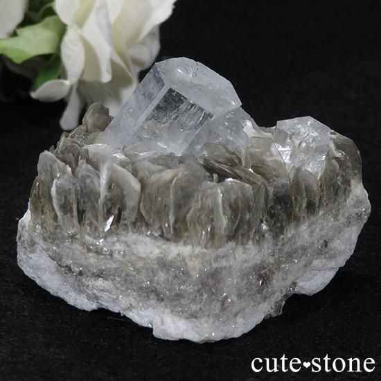 ѥ󻺥ޥ դ뾽ʸС78gμ̿3 cute stone