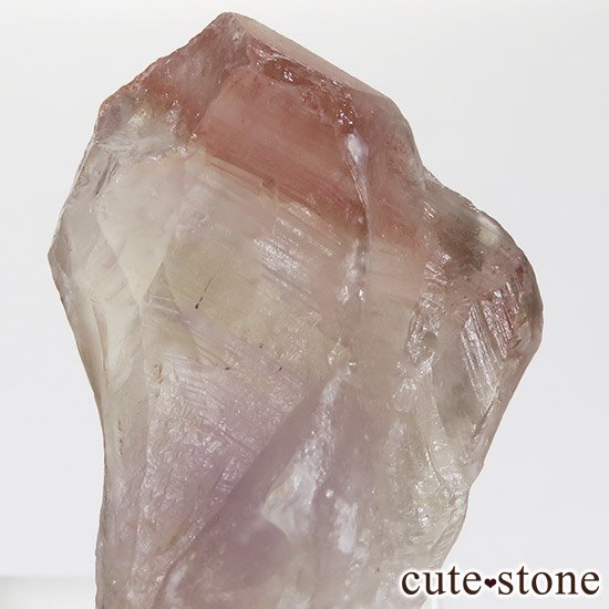 ե ȥ٥꡼(徽)η뾽 10gʥ᥸ˤμ̿2 cute stone