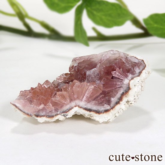 를 ԥ󥯥᥸ȤθСʥ饹13.6gμ̿0 cute stone