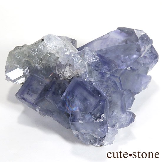   䥪󥷥 ֥롼ե饤() 252gμ̿0 cute stone
