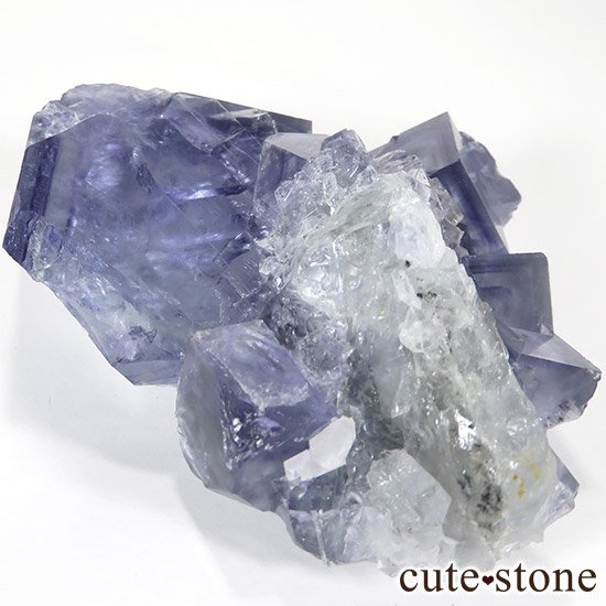   䥪󥷥 ֥롼ե饤() 252gμ̿1 cute stone