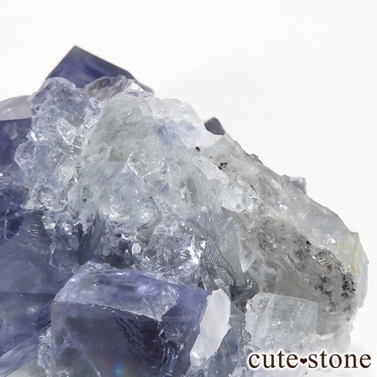   䥪󥷥 ֥롼ե饤() 252gμ̿2 cute stone