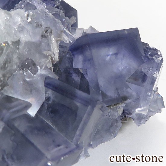   䥪󥷥 ֥롼ե饤() 252gμ̿3 cute stone