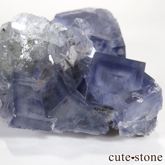   䥪󥷥 ֥롼ե饤() 252gμ̿4 cute stone