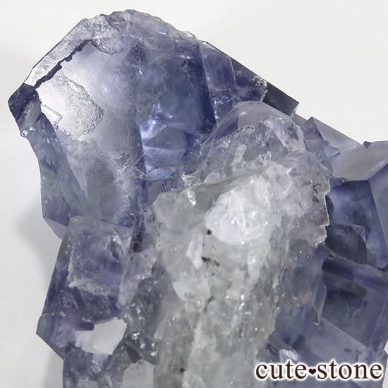   䥪󥷥 ֥롼ե饤() 252gμ̿5 cute stone