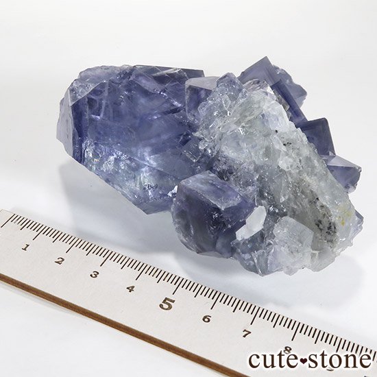   䥪󥷥 ֥롼ե饤() 252gμ̿7 cute stone