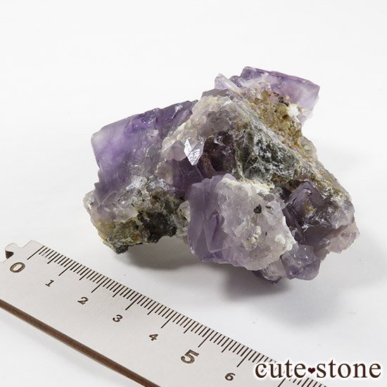 ѡץե饤 (󥴥뻺)Ȭη뾽ʸС145gμ̿6 cute stone