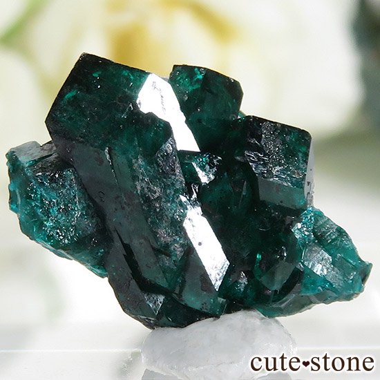 ե󻺤Υץơθ 2.5gμ̿1 cute stone