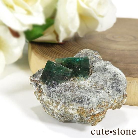 ѥ ȻդɤθСɸܡ20g