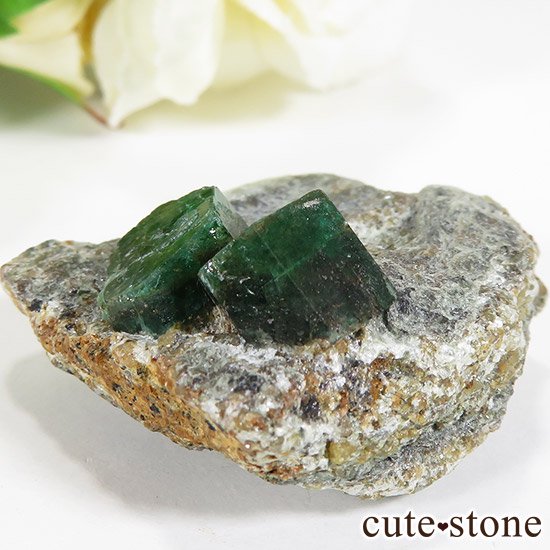 ѥ ȻդɤθСɸܡ20gμ̿1 cute stone