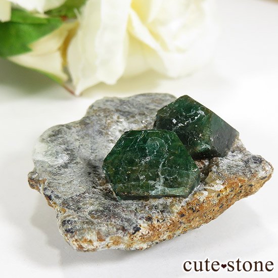 ѥ ȻդɤθСɸܡ20gμ̿2 cute stone