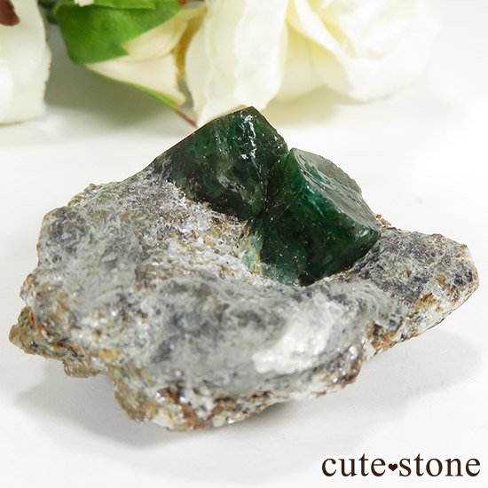 ѥ ȻդɤθСɸܡ20gμ̿3 cute stone