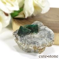 ѥ ȻդɤθСɸܡ20gβ