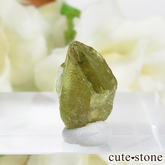 ֥饸뻺 եñ뾽 5.1ctμ̿0 cute stone