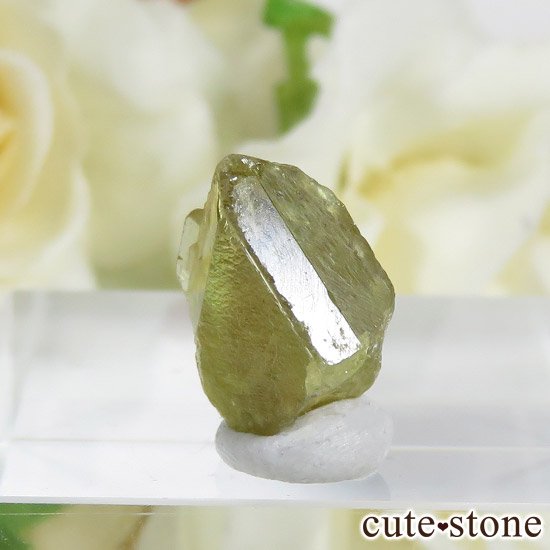 ֥饸뻺 եñ뾽 5.1ctμ̿1 cute stone