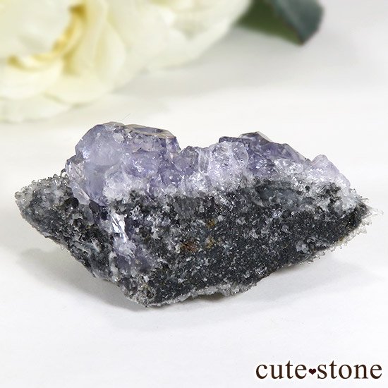  ʡʻѡץ֥롼ե饤Ȥθ 15gμ̿0 cute stone