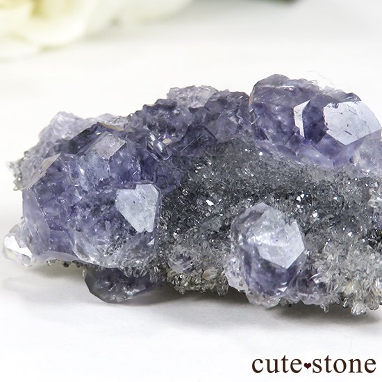  ʡʻѡץ֥롼ե饤Ȥθ 15gμ̿1 cute stone
