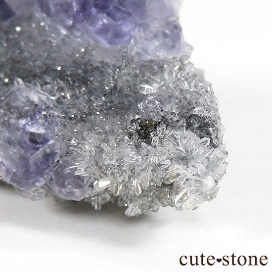  ʡʻѡץ֥롼ե饤Ȥθ 15gμ̿3 cute stone