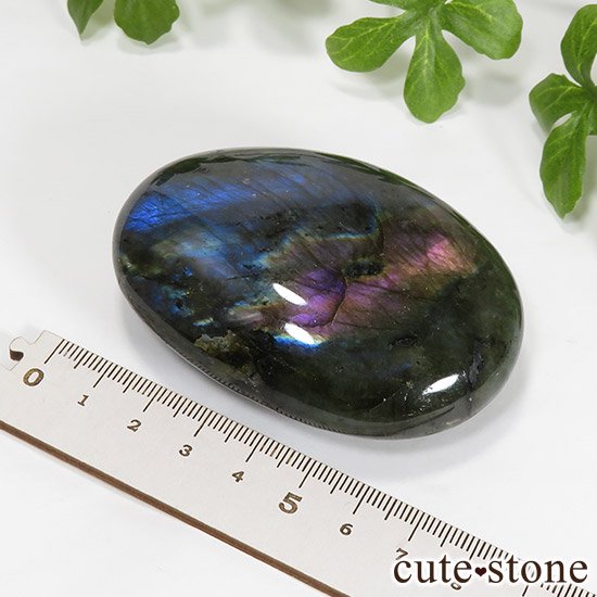 ѡץԥ ֥ɥ饤ȤΥ֥ʥݥå 157gμ̿4 cute stone