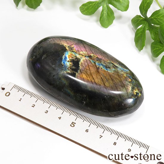  ѡץ ԥ ֥ɥ饤ȤΥ֥ʥݥå 187gμ̿3 cute stone