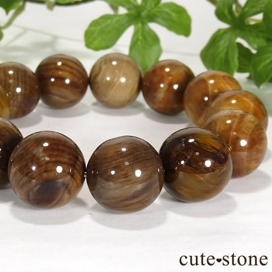 ★特選一品★✴︎木の化石ブレス♦️【15mmペトリファイドウッド珪化木ブレス】♡ ペトリファイドウッド（珪化木） - プレミアム天然石専門店