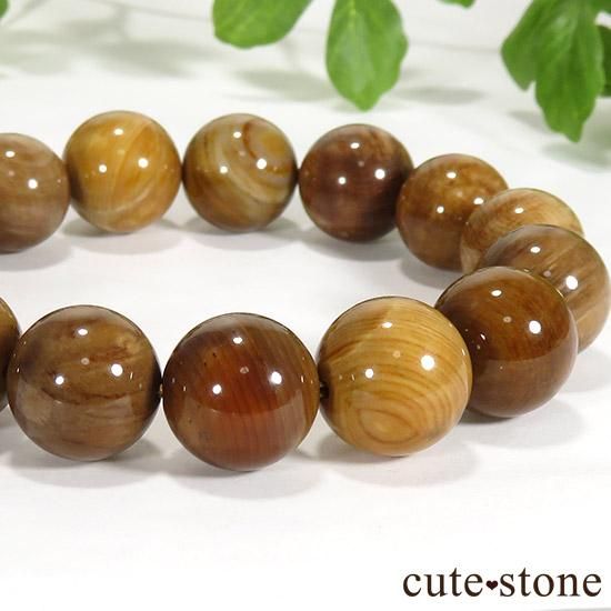 ペトリファイドウッド(珪化木)のブレスレット 13mmの写真0 cute stone