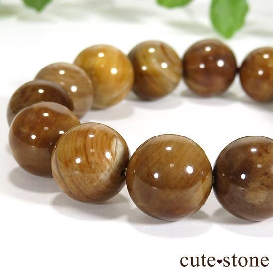 ペトリファイドウッド(珪化木)のブレスレット 13mmの写真1 cute stone