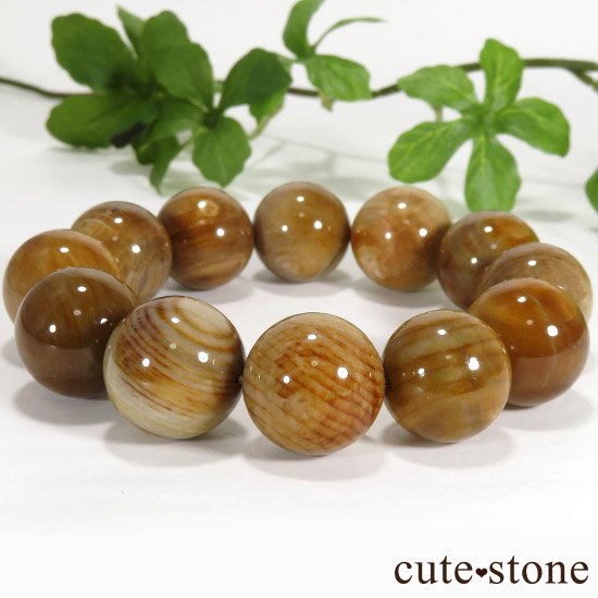 ペトリファイドウッド（珪化木）のブレスレット 18mm - cute stone -