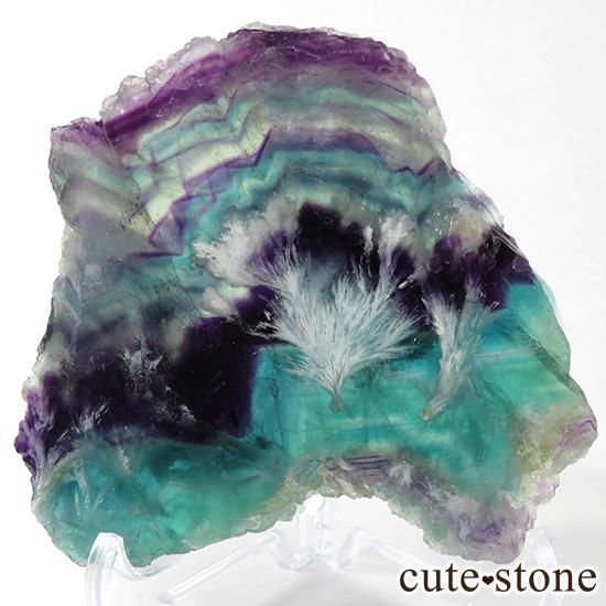 եե饤ȡʥ󥸥եˤľ饤 328g