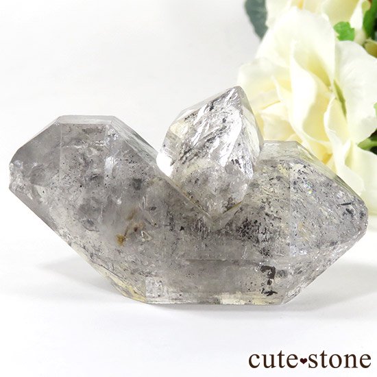 եȥ󥯥(٥󥯥)θФμ̿0 cute stone