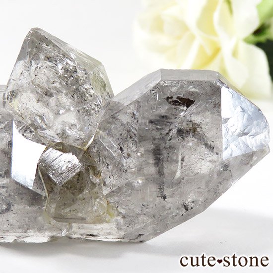 եȥ󥯥(٥󥯥)θФμ̿2 cute stone