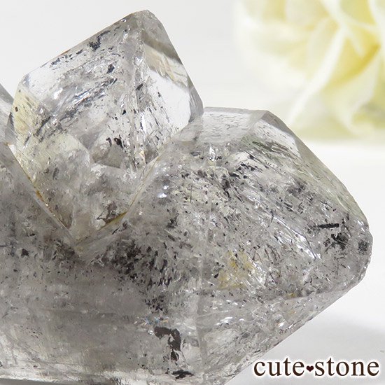 եȥ󥯥(٥󥯥)θФμ̿3 cute stone