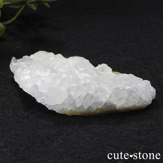 Υե饤Ȥθ ɻ 68gʹʪɸܡˤμ̿0 cute stone