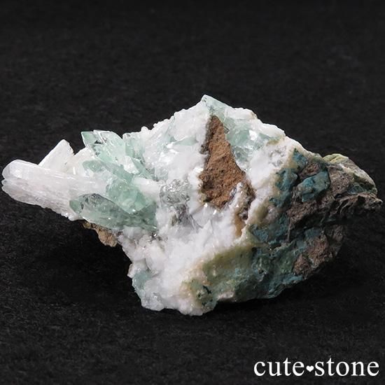 ɡץ͡ʥסʡ˻ ꡼󥢥ݥե饤 θ 31gμ̿1 cute stone