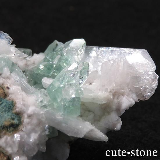 ɡץ͡ʥסʡ˻ ꡼󥢥ݥե饤 θ 31gμ̿2 cute stone