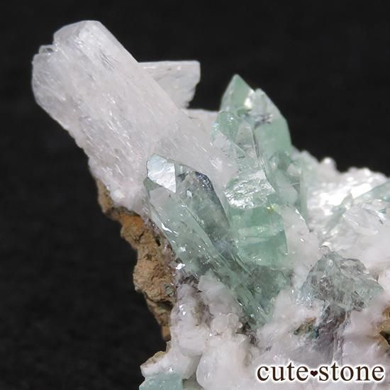 ɡץ͡ʥסʡ˻ ꡼󥢥ݥե饤 θ 31gμ̿3 cute stone