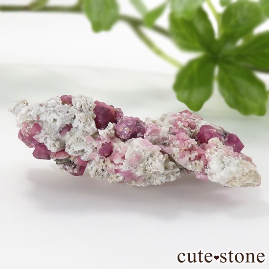 饺٥꡼ͥåȡʳСˤθСʹʪɸܡ25.4gμ̿0 cute stone