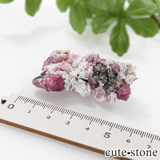 饺٥꡼ͥåȡʳСˤθСʹʪɸܡ25.4gμ̿6 cute stone