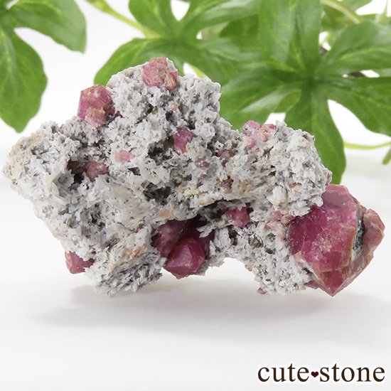 饺٥꡼ͥåȡʳСˤθСʹʪɸܡ25.9gμ̿0 cute stone