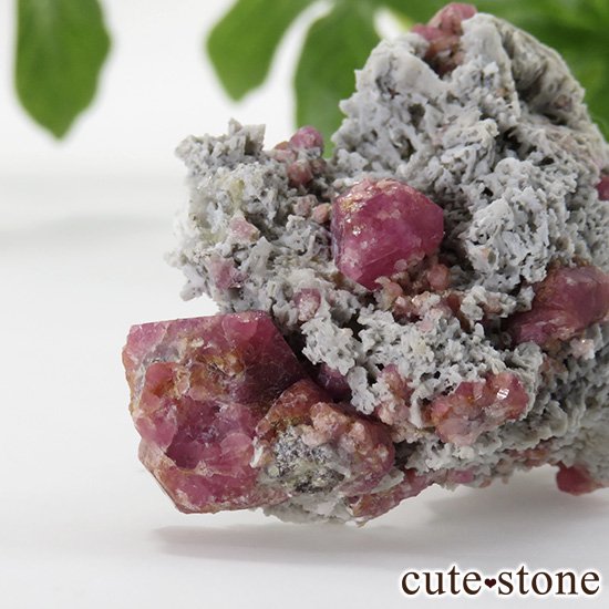 ラズベリーガーネット（灰礬柘榴石）の原石（鉱物標本）25.9g - cute