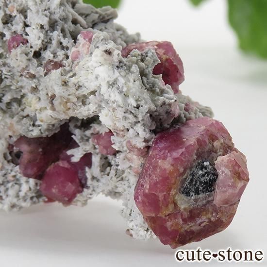 ラズベリーガーネット（灰礬柘榴石）の原石（鉱物標本）25.9g - cute
