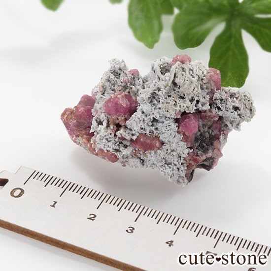 ラズベリーガーネット（灰礬柘榴石）の原石（鉱物標本）25.9g - cute 
