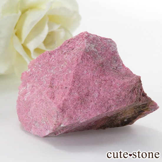 Υ륦 塼饤ȤθФμ̿0 cute stone